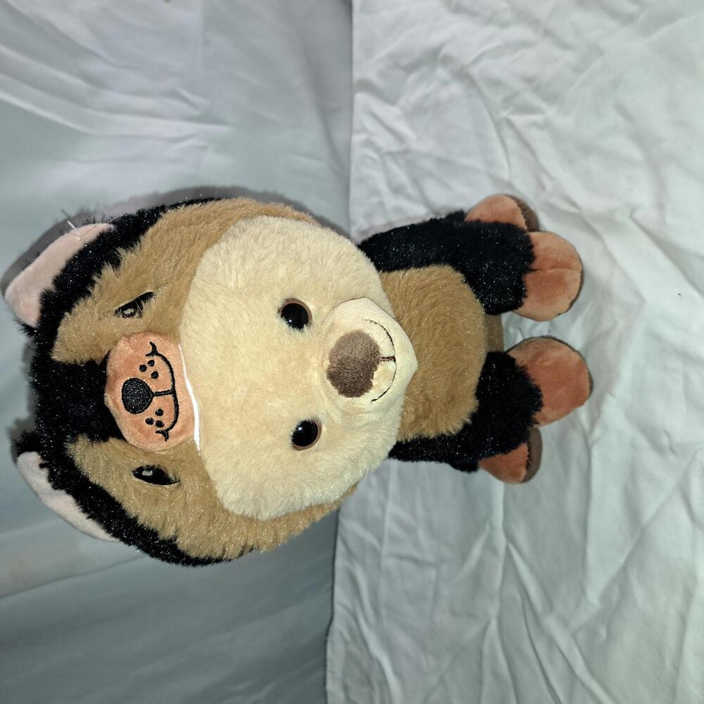 Peek A Boo Plush Stuffed Animal Toy
